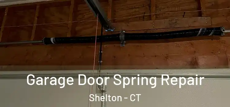  Garage Door Spring Repair Shelton - CT